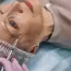 Превью статьи